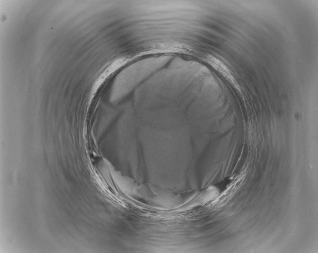 X0000059840797200511181512