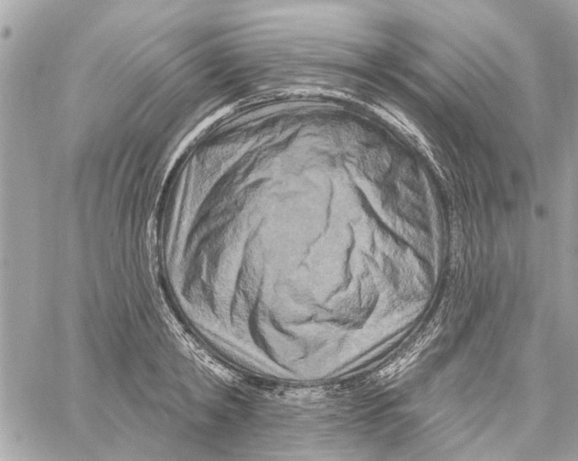 X0000059840798200511181512