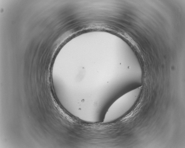 X0000059840799200511181512