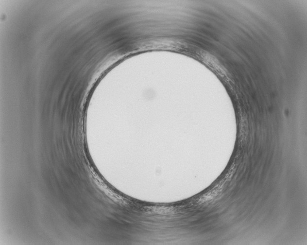 X0000059840800200511181511