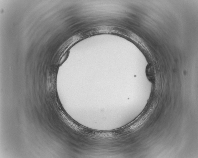 X0000059840801200511181511