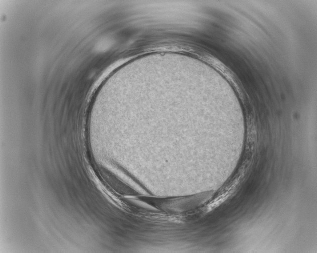 X0000059840803200511181511