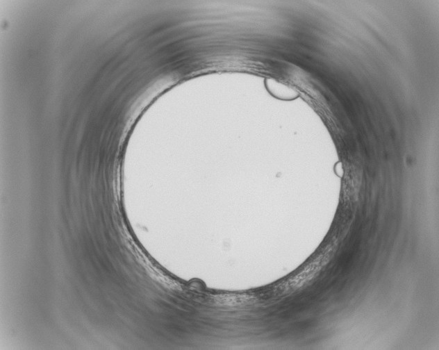 X0000059840804200511181511