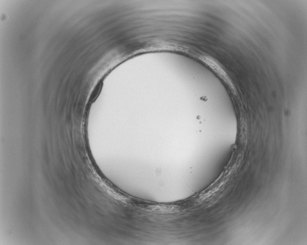 X0000059840805200511181511