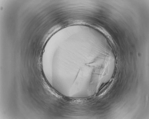 X0000059840806200511181511