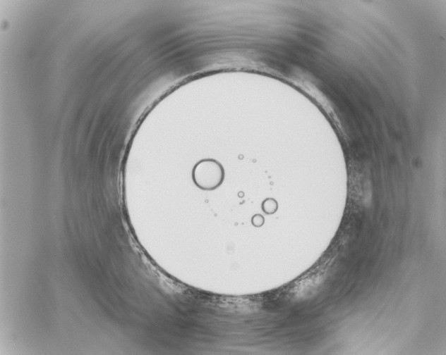 X0000059840807200511181511