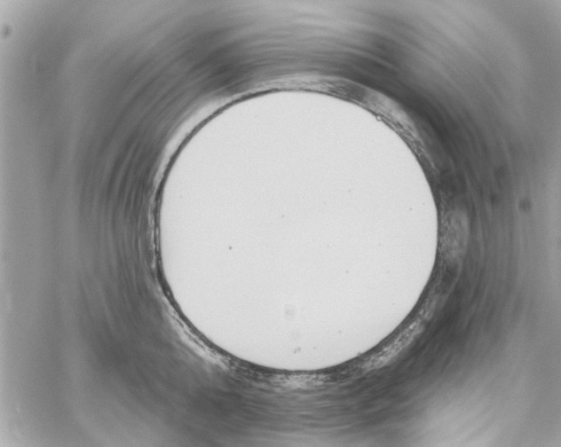 X0000059840808200511181511