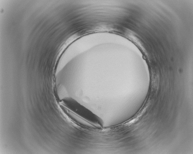 X0000059840810200511181511