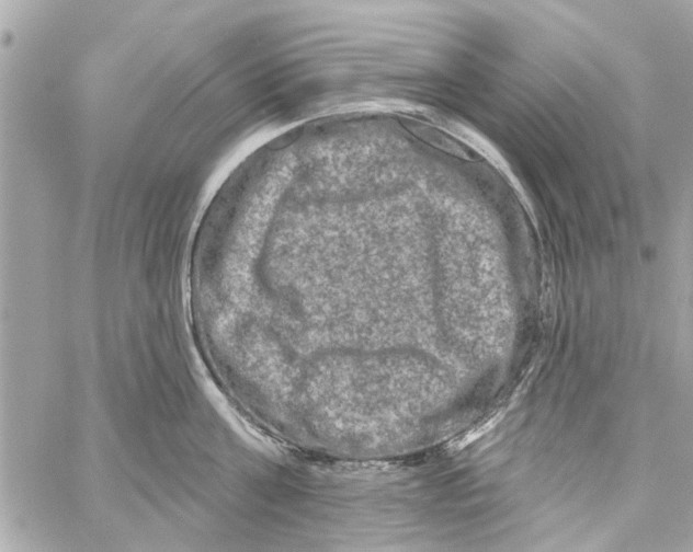 X0000059840811200511181511