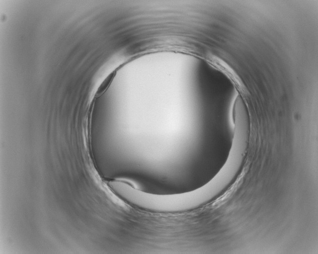 X0000059840812200511181511