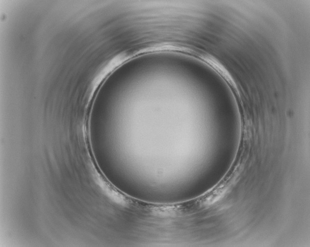 X0000059840813200511181511