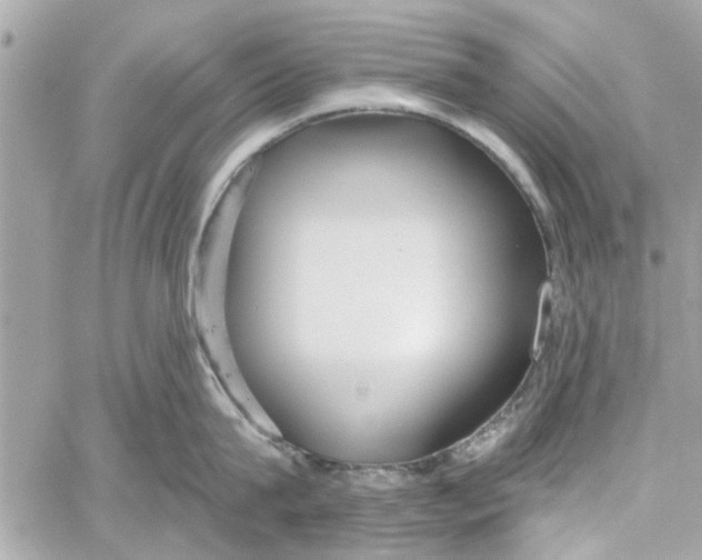 X0000059840815200511181511