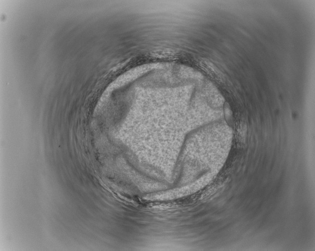 X0000059840817200511181510