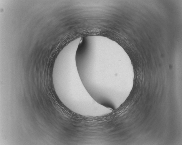 X0000059840818200511181510