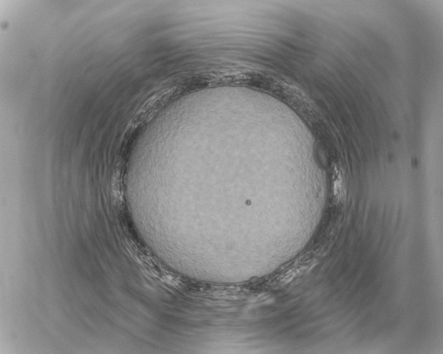 X0000059840819200511181510