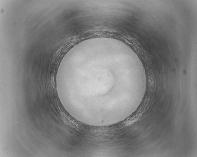 X0000059840820200511181510