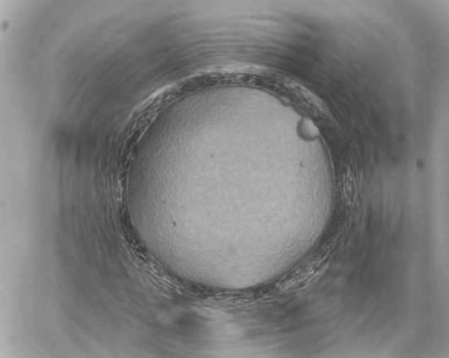 X0000059840821200511181510