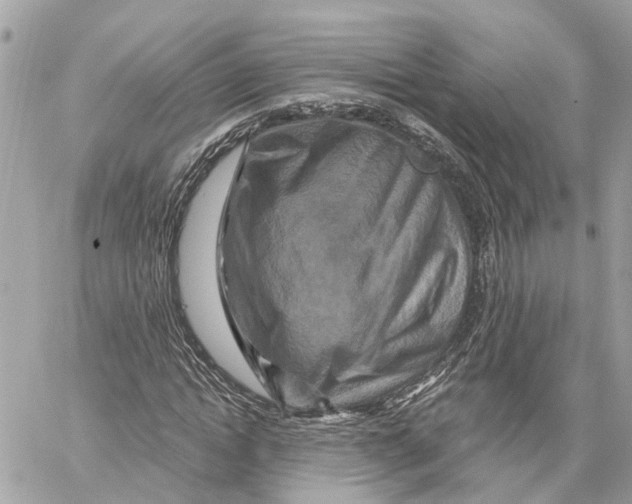 X0000059840822200511181511