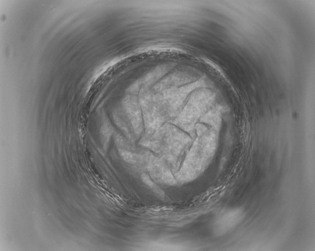 X0000059840823200511181511