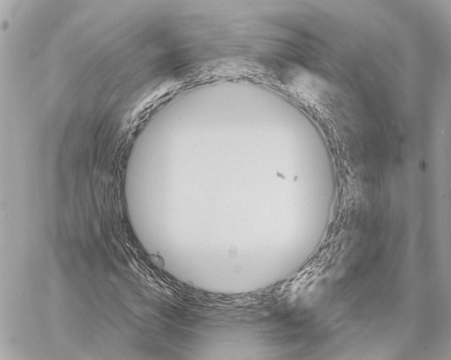 X0000059840824200511181511