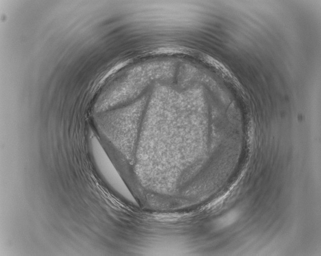 X0000059840825200511181511