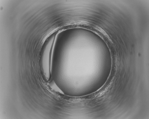 X0000059840826200511181511