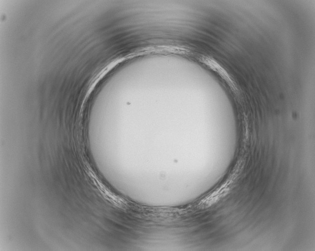 X0000059840828200511181511