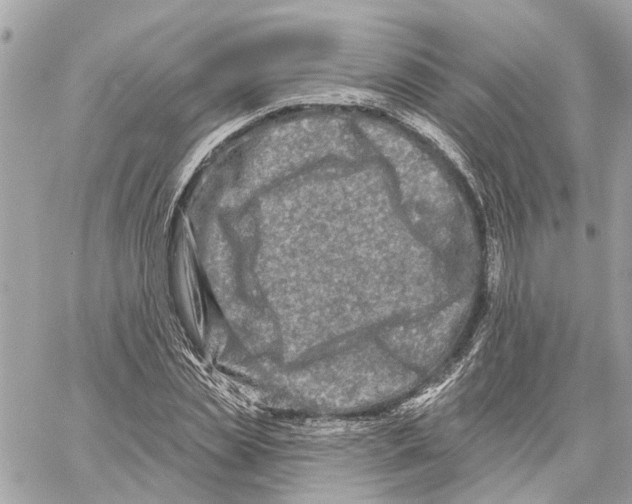 X0000059840829200511181511