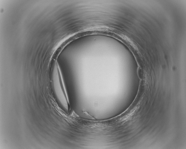 X0000059840830200511181511