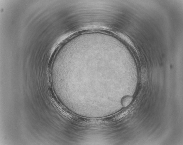 X0000059840831200511181511