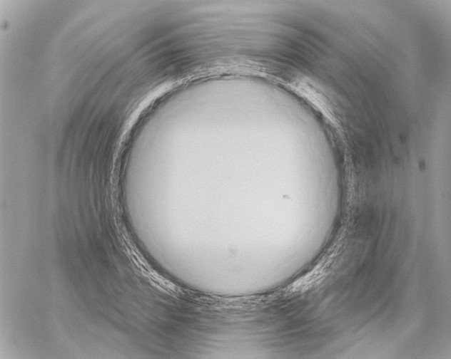 X0000059840832200511181511