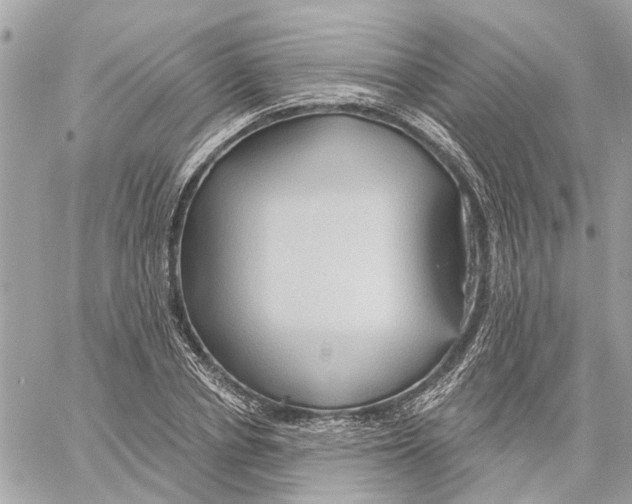 X0000059840834200511181511