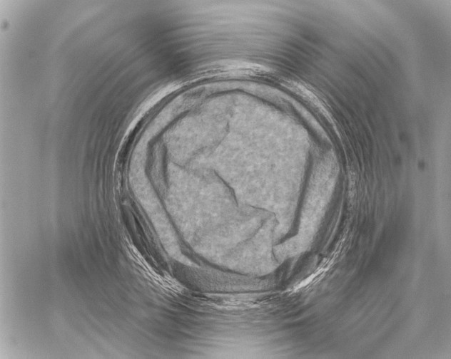 X0000059840835200511181511