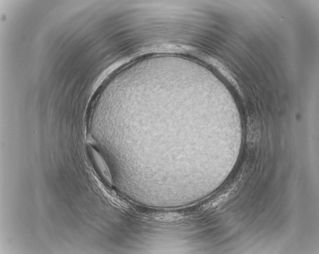 X0000059840837200511181511