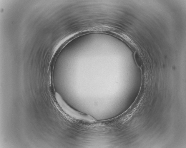 X0000059840838200511181511