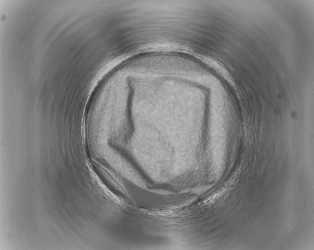 X0000059840839200511181511