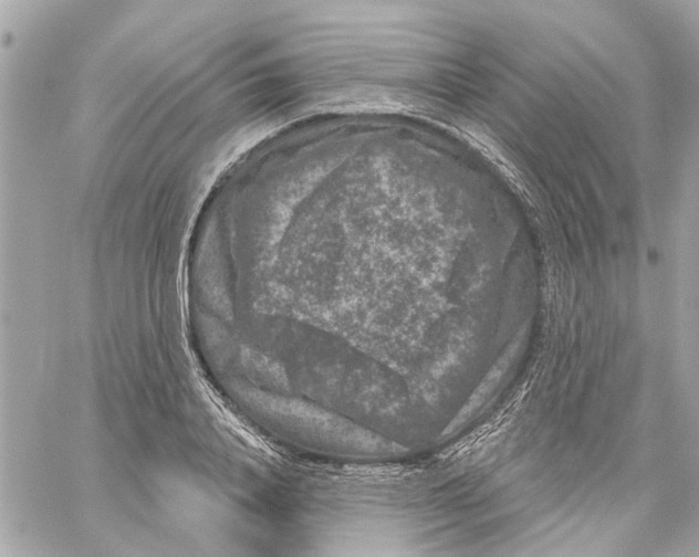 X0000059840840200511181511