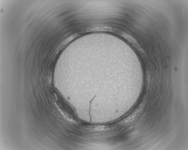 X0000059840841200511181511