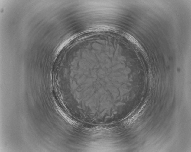 X0000059840842200511181511