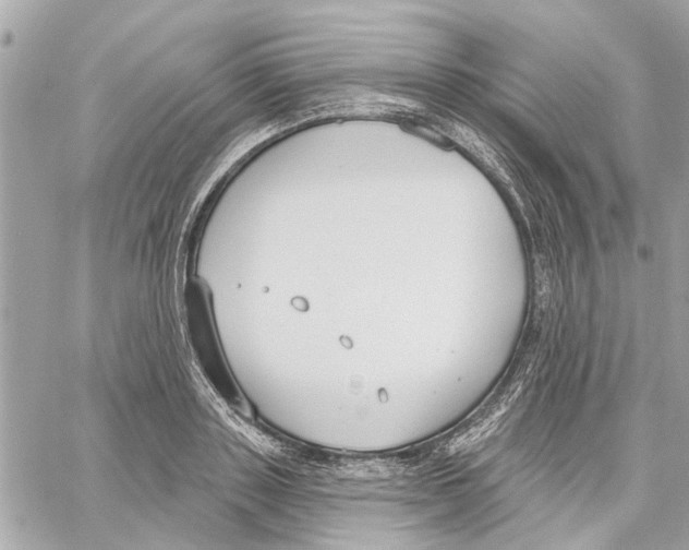 X0000059840843200511181511