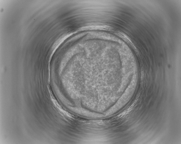 X0000059840844200511181511