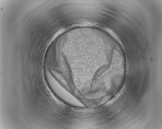 X0000059840845200511181511