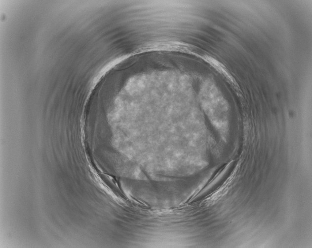 X0000059840846200511181511