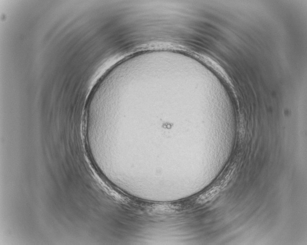 X0000059840847200511181511