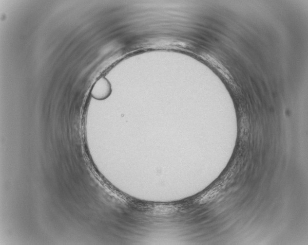 X0000059840848200511181511