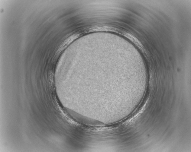 X0000059840849200511181511