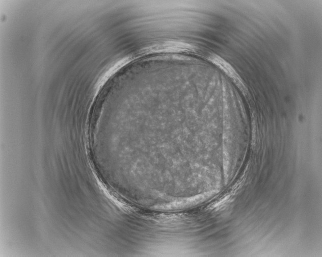 X0000059840850200511181511