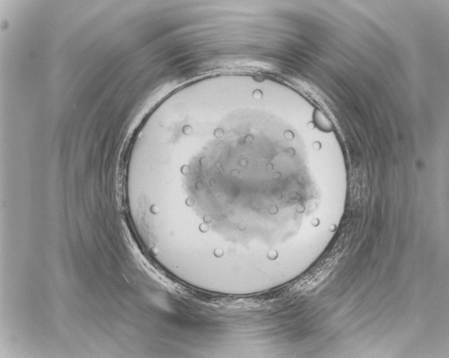 X0000059840851200511181511