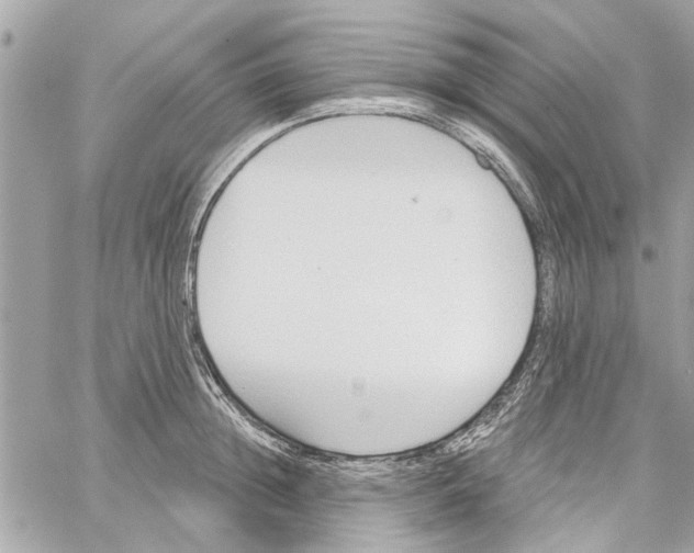 X0000059840852200511181511