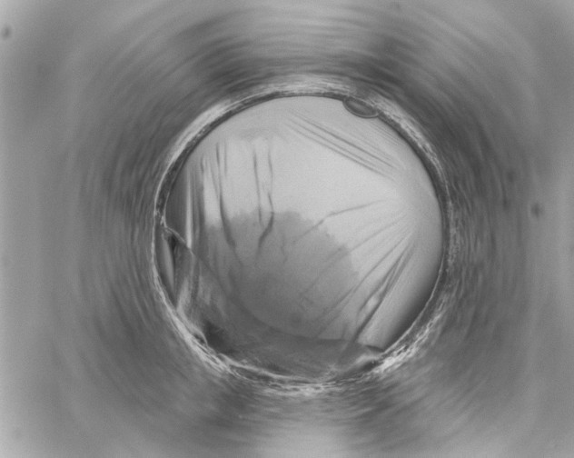 X0000059840853200511181511